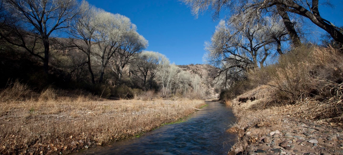 San Pedro River