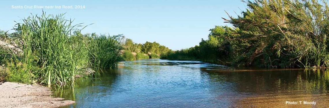 Santa Cruz River