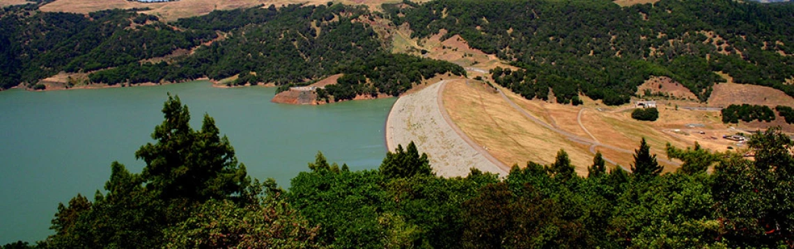 water surrounded by trees