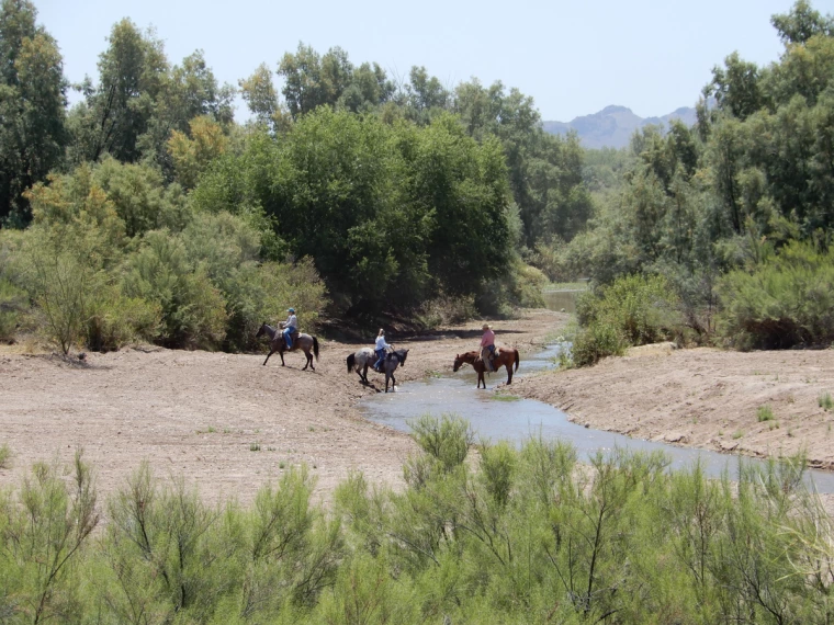 Hamdhani Hamdhani - One day on the Santa Cruz River - 2018