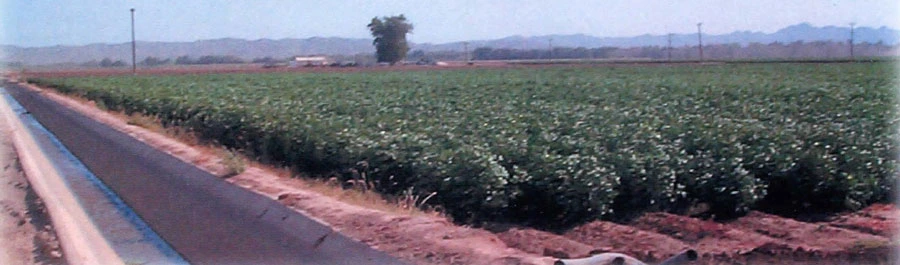 field photo with canal