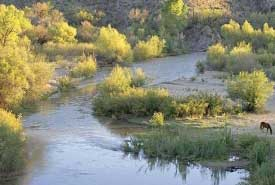 Gila Riverbed