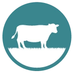 gila icon graze