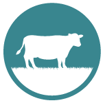 gila icon graze