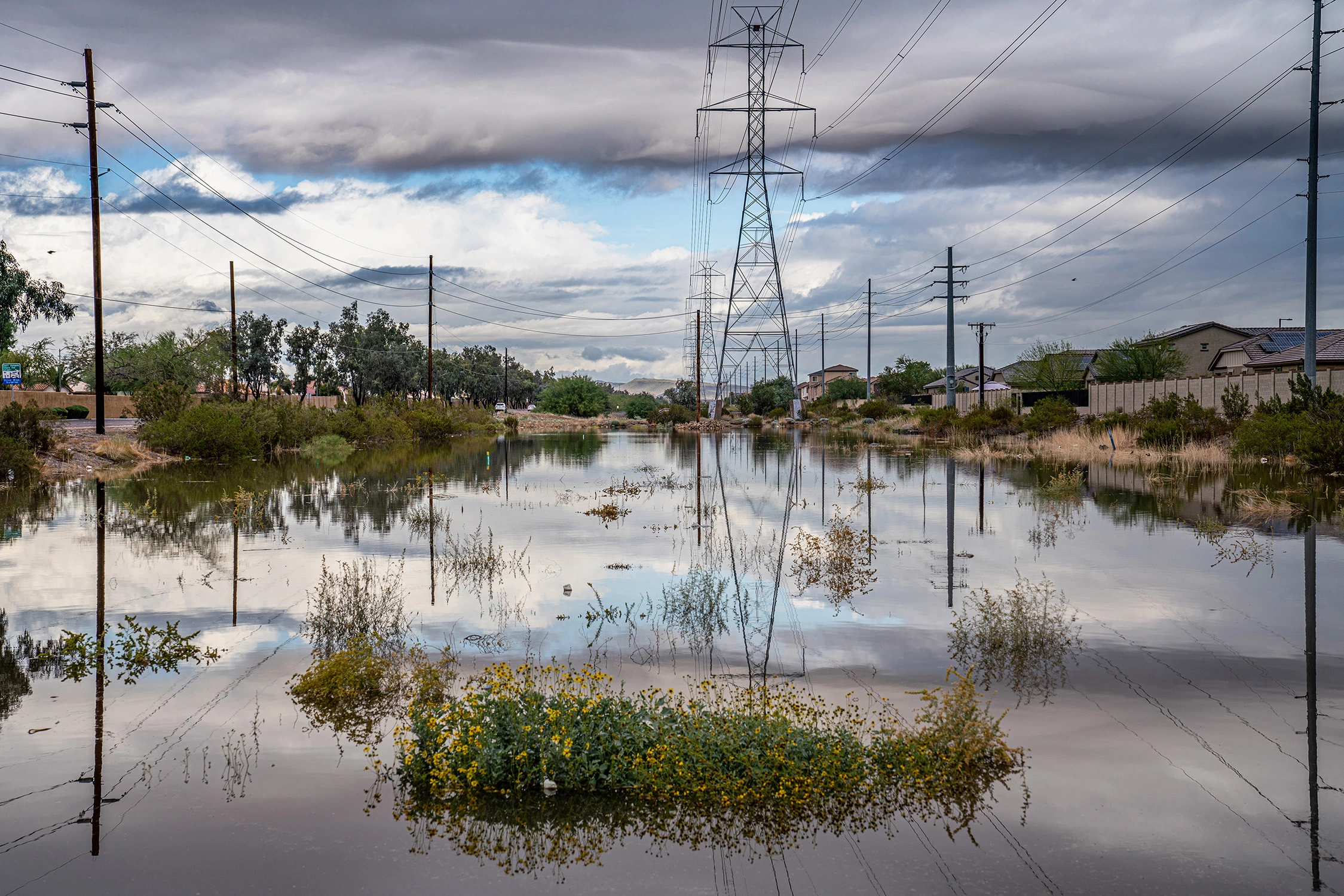 Jorge Quintero - Water and Power - Phoenix, 2019