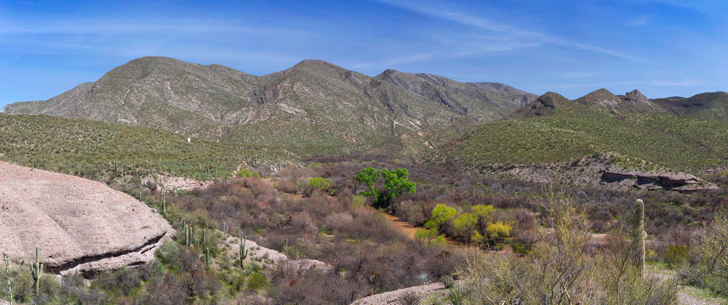 Photo: Alan Stark - Gila River