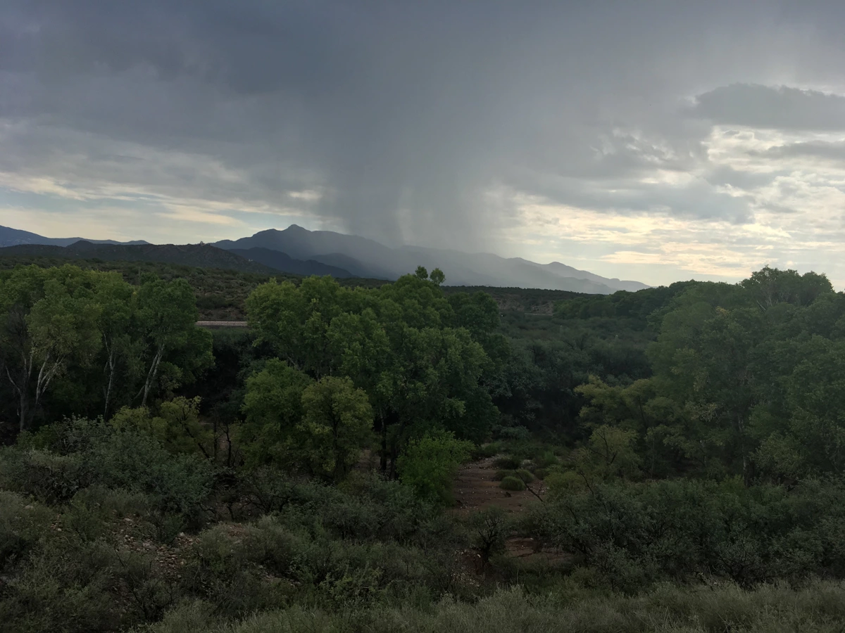 Tina Baker - Flash Flood Warning Cienega Creek -2018