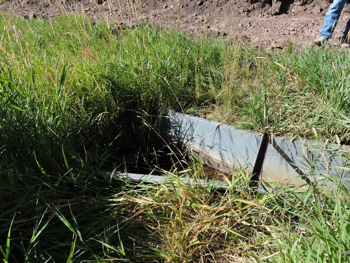 photo of metal flume set into the irrigation ditch. Surrounded by green growth.