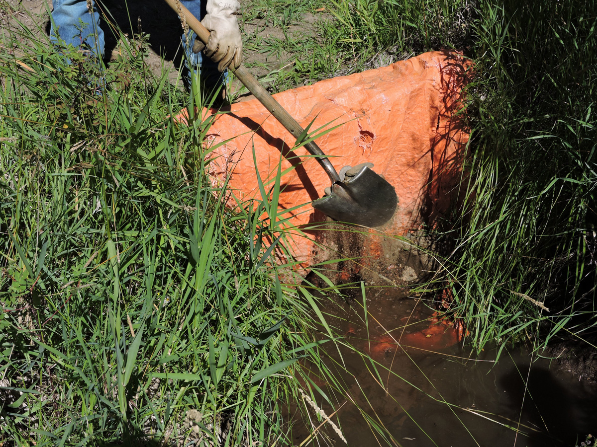 Photo of ditch sealed with plastic sheeting  to keep the water in the river and out of the meadows