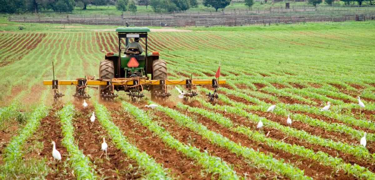 field with tractor