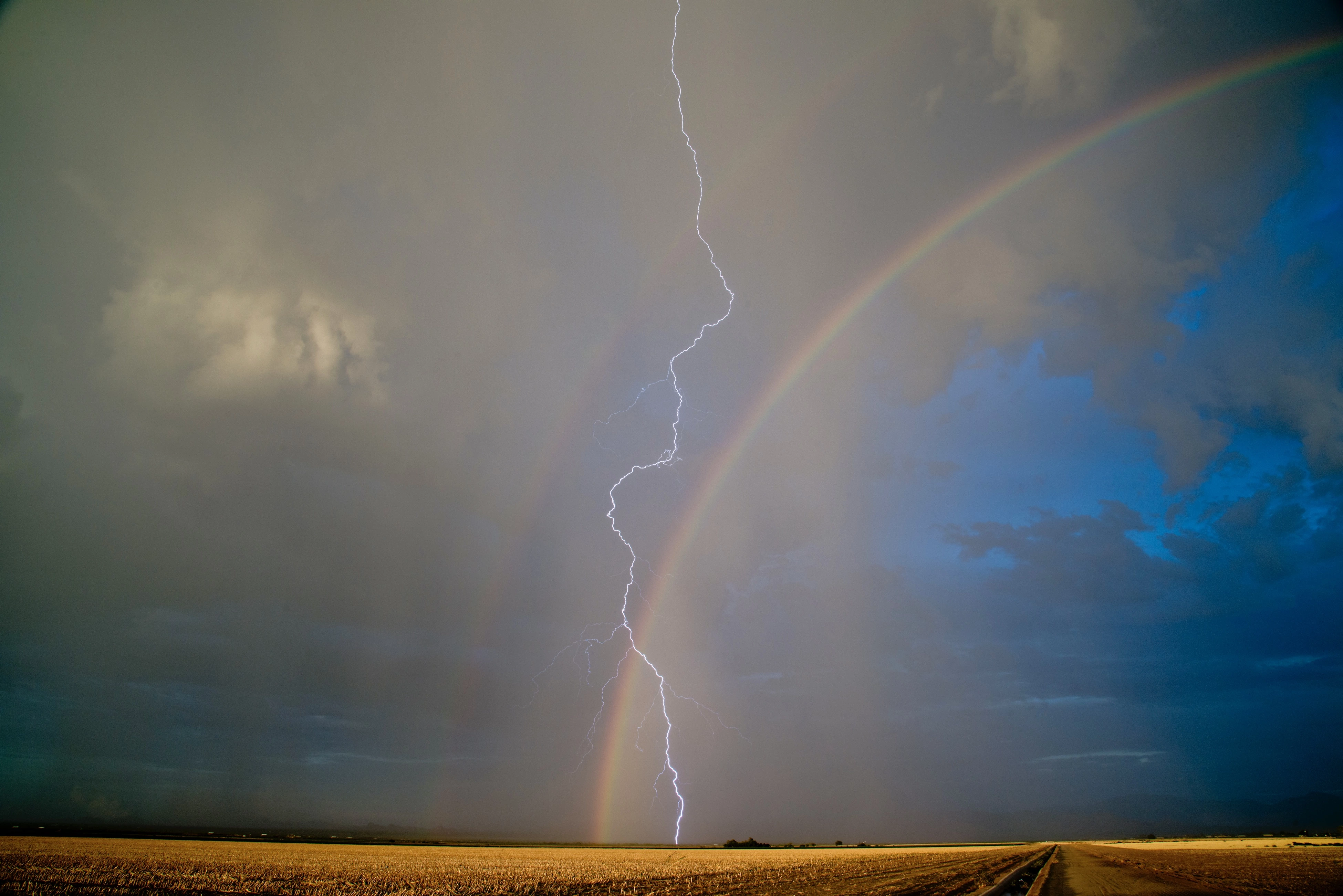 Jim Muntz – After the Storm, Marana, AZ, 2023