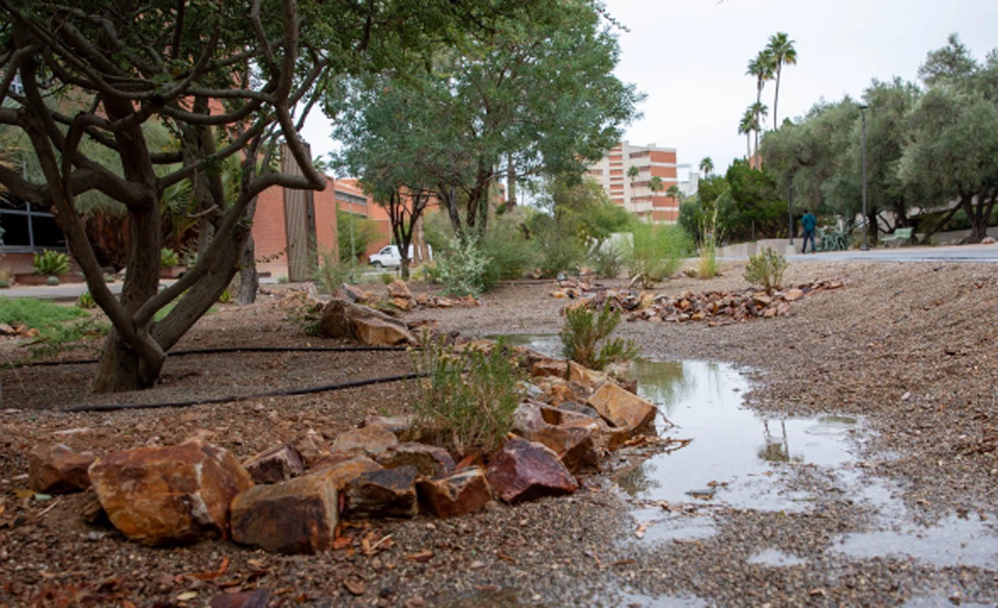 water collection on ua campus