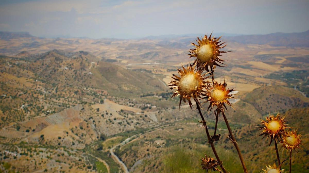 Valley view from Mountain