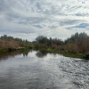 photo of a river with riparian area